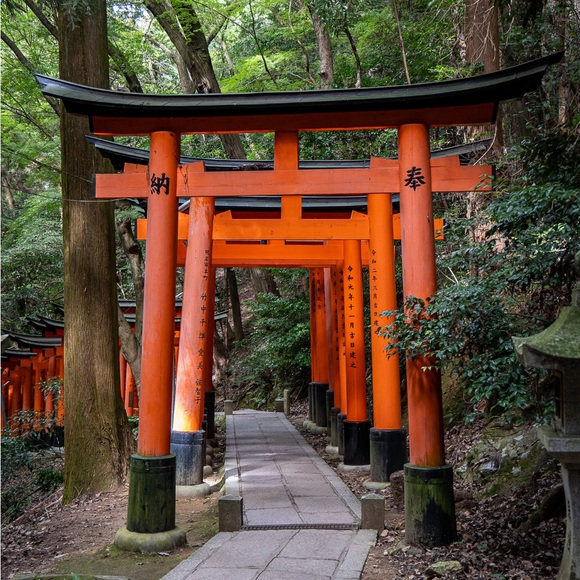 Tan stretchy shorts medium euc ona - Picture 6 of 8